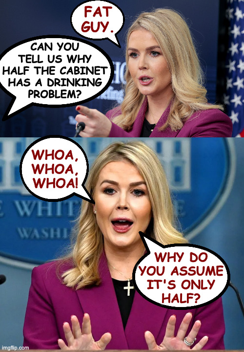 Do you think she'll make a good governor? | fat guy. can you
tell us why
half the cabinet
has a drinking
problem? whoa,
whoa,
whoa! why do
you assume
it's only
half? | image tagged in karoline leavitt scolding,memes | made w/ Imgflip meme maker