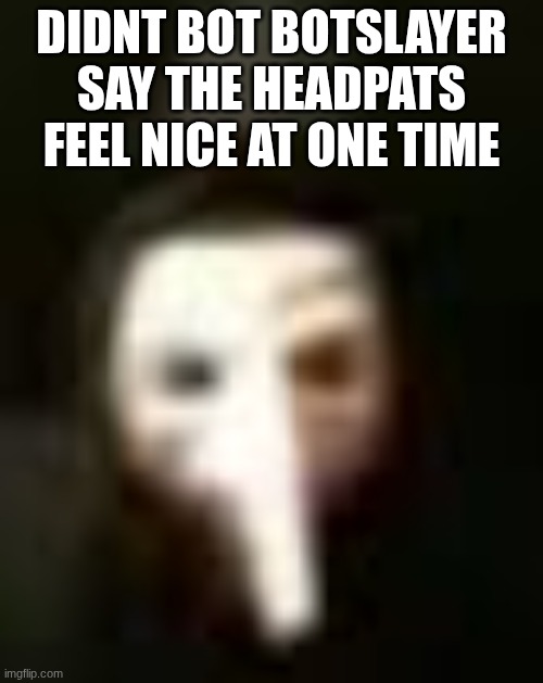 first agreeable thing from botslayer | didnt bot botslayer say the headpats feel nice at one time | made w/ Imgflip meme maker