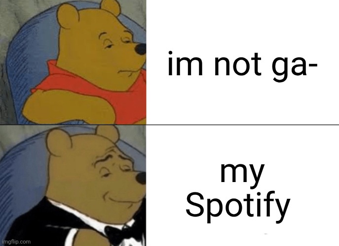 Tuxedo Winnie The Pooh Meme | im not ga-; my Spotify | image tagged in memes,tuxedo winnie the pooh | made w/ Imgflip meme maker