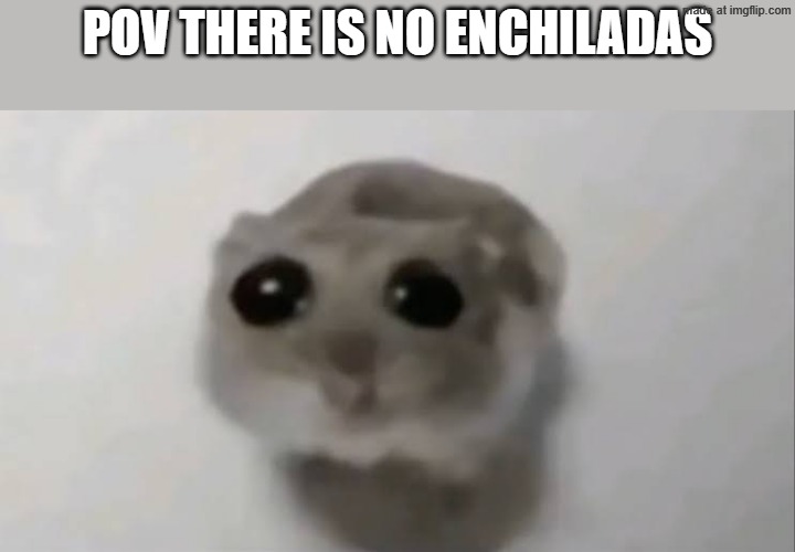 Sad Hamster | Pov there is no enchiladas | image tagged in sad hamster | made w/ Imgflip meme maker