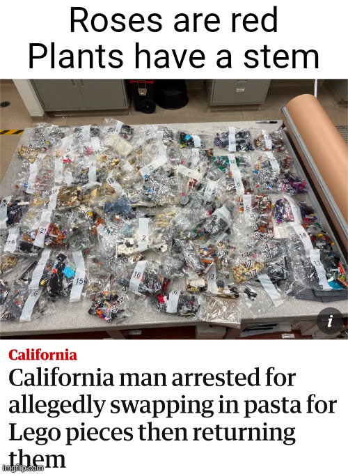 Meme #296 | Roses are red
Plants have a stem | image tagged in lego,pasta,roses are red | made w/ Imgflip meme maker