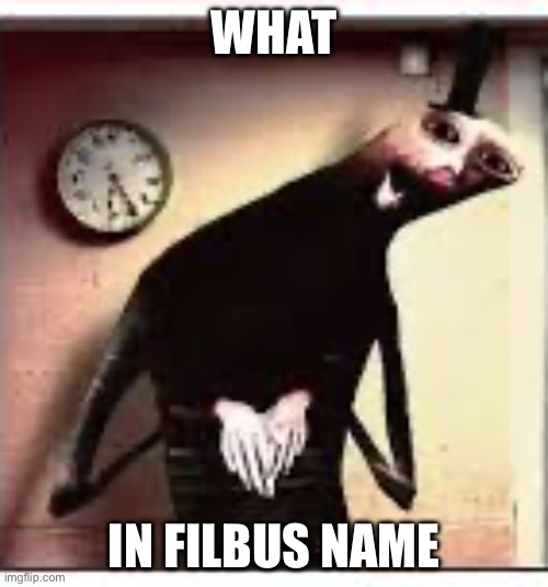What in filbus name | What; In filbus name | image tagged in img_0013 jpeg,doctor nowhere,filbus,reaction image | made w/ Imgflip meme maker