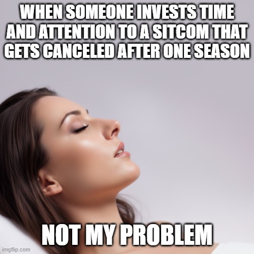 Not My Problem One Season Wonder | When someone invests time and attention to a sitcom that gets canceled after one season; not my problem | image tagged in not my problem,one season wonder,failed sitcom,tv season | made w/ Imgflip meme maker