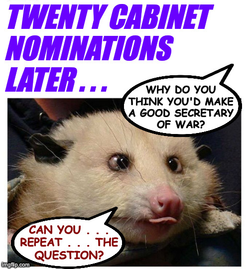 More like three. | twenty cabinet
nominations
later . . . why do you
think you'd make
a good secretary
of war? can you . . .
repeat . . . the
question? | image tagged in memes,trump cabinet,drunk possum,kash patel's cousin | made w/ Imgflip meme maker