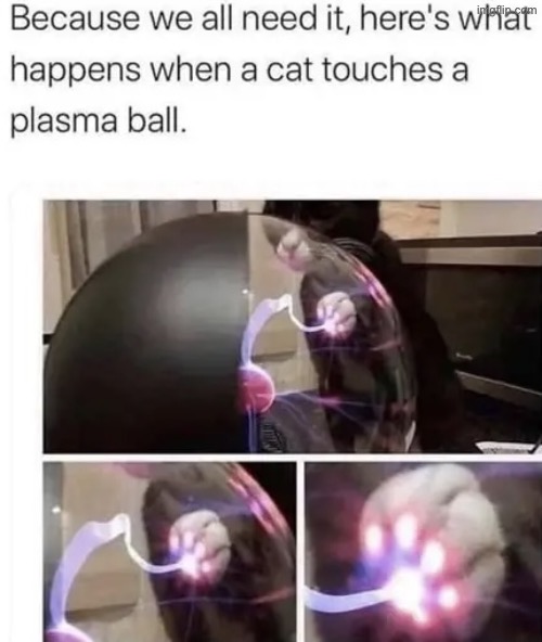 Plasma Ball Kitteh | image tagged in cats,funny cats,paws,electricity,curiosity | made w/ Imgflip meme maker