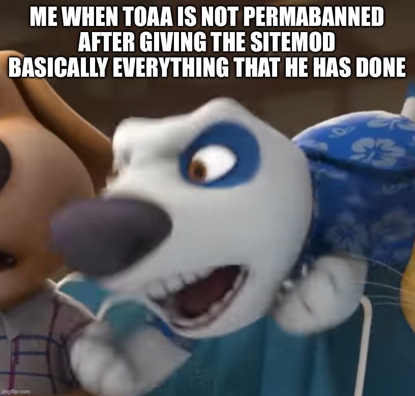 Please WE NEED MORE EVIDANCE | Me when toaa is not permabanned after giving the sitemod basically everything that he has done | image tagged in hank angry | made w/ Imgflip meme maker