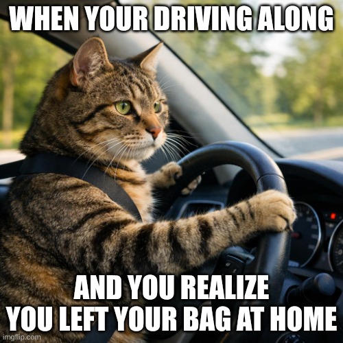 cat driving a car | When your driving along; and you realize you left your bag at home | image tagged in cat driving a car | made w/ Imgflip meme maker