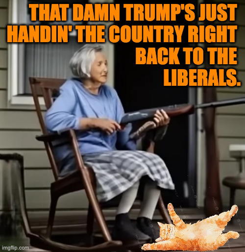 It's true. | that damn trump's just 
handin' the country right 
back to the 
liberals. | image tagged in memes,granny,happy cat | made w/ Imgflip meme maker
