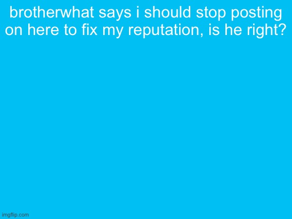 brotherwhat says i should stop posting on here to fix my reputation, is he right? | made w/ Imgflip meme maker