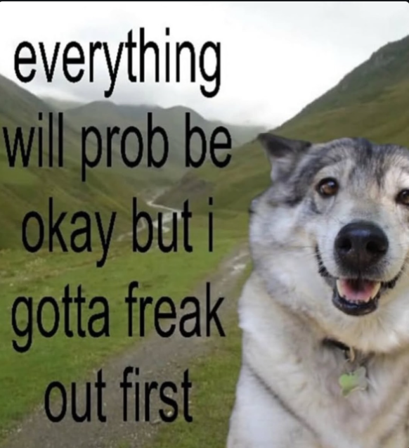 everything will prob be okay but i gotta freak out first Blank Meme Template