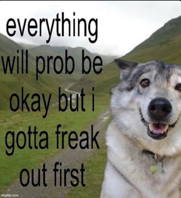 everything will prob be okay but i gotta freak out first | image tagged in everything will prob be okay but i gotta freak out first | made w/ Imgflip meme maker