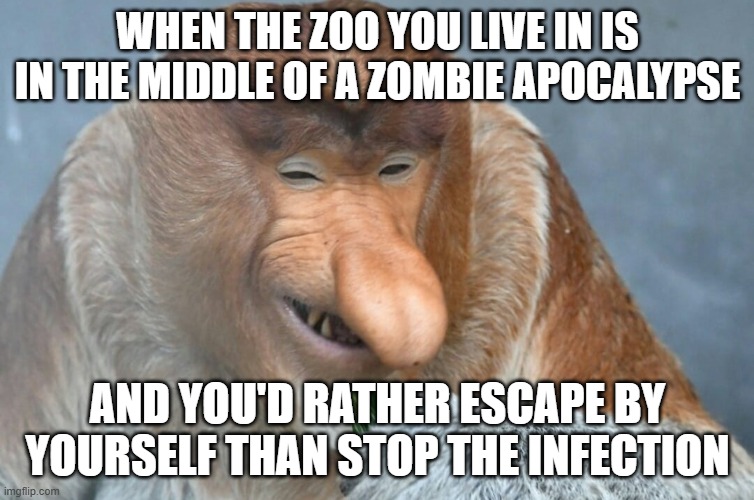 If you know what this references, you're golden. | When the zoo you live in is in the middle of a zombie apocalypse; and you'd rather escape by yourself than stop the infection | image tagged in janusz,monkey | made w/ Imgflip meme maker
