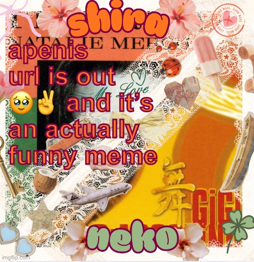 in comments | apenis url is out 🥹✌️ and it’s an actually funny meme | image tagged in neko and shira shared temp 3 | made w/ Imgflip meme maker