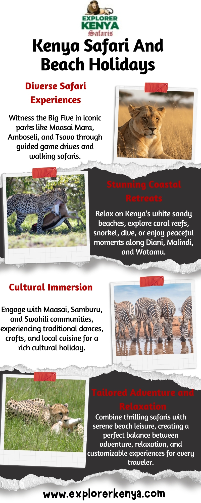 Kenya Safari And Beach Holidays Blank Meme Template