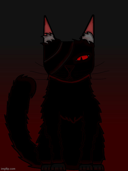 meow | image tagged in nusrendu png,cats | made w/ Imgflip meme maker