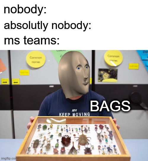 MS Teams - BUGS | nobody:; absolutly nobody:; ms teams:; BAGS | image tagged in memes,funny memes,bags,bugs,microsoft,microsoft teams | made w/ Imgflip meme maker