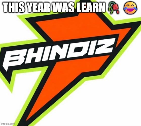 Rawalbhindiz | This Year Was Learn🥀😂 | image tagged in rawalpindi bhindiz | made w/ Imgflip meme maker