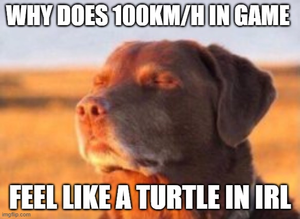 Dog in sun | why does 100km/h in game; feel like a turtle in irl | image tagged in dog in sun | made w/ Imgflip meme maker
