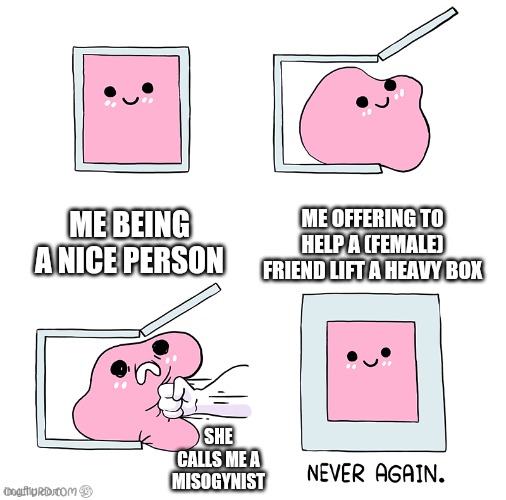 Fr can anyone tell me why they do this | Me being a nice person; Me offering to help a (female) friend lift a heavy box; She calls me a misogynist | image tagged in pink blob in the box | made w/ Imgflip meme maker