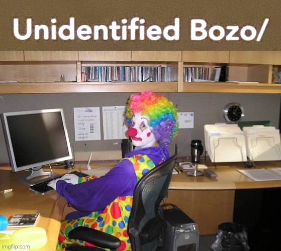 Unidentified Bozo | image tagged in unidentified bozo,clown computer | made w/ Imgflip meme maker