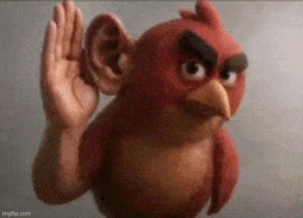 Angry Bird Listening | image tagged in angry bird listening | made w/ Imgflip meme maker