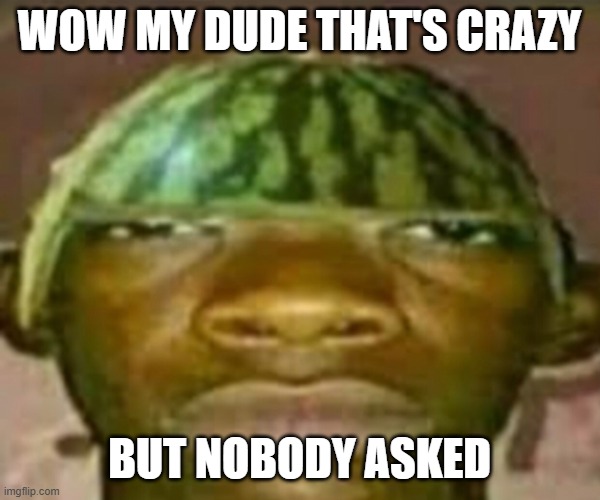 Wow that’s crazy my guy but when did I ask | Wow my dude that's crazy but nobody asked | image tagged in wow that s crazy my guy but when did i ask | made w/ Imgflip meme maker