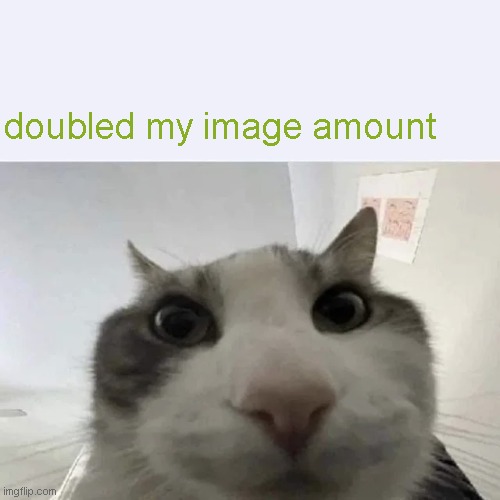 green text cat | doubled my image amount | image tagged in green text cat | made w/ Imgflip meme maker