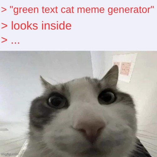 green text cat | > "green text cat meme generator"; > looks inside; > ... | image tagged in green text cat | made w/ Imgflip meme maker
