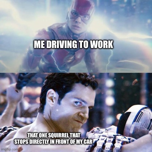 Superman sees Flash | Me driving to work; That one squirrel that stops directly in front of my car | image tagged in superman sees flash | made w/ Imgflip meme maker