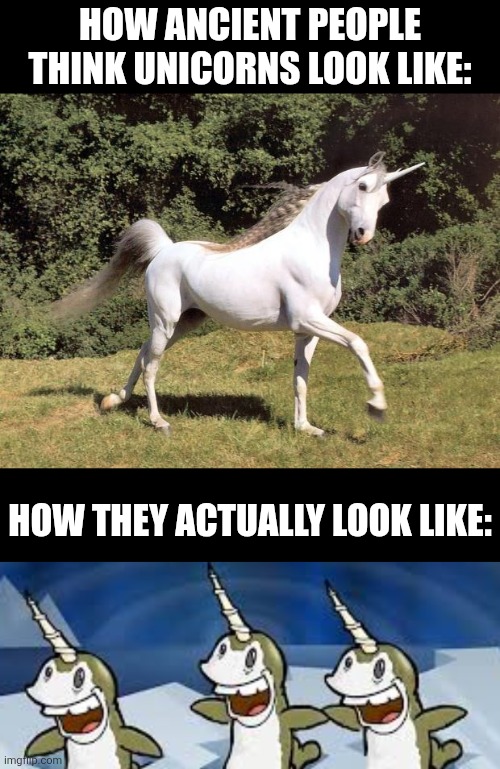 How ancient people think unicorns look like:; How they actually look like: | image tagged in memes,unicorn,looks | made w/ Imgflip meme maker