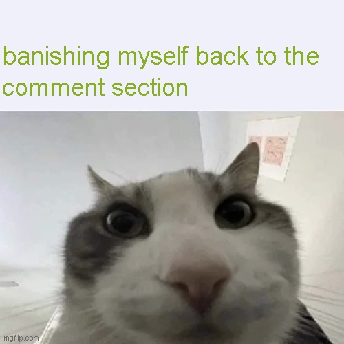 green text cat | banishing myself back to the; comment section | image tagged in green text cat | made w/ Imgflip meme maker