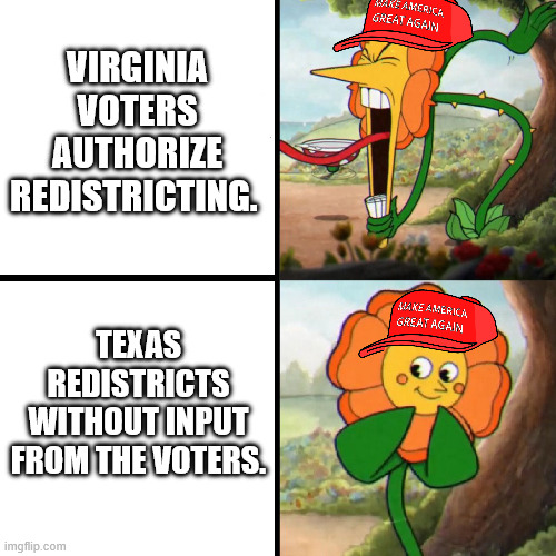 Cuphead Flower | Virginia voters authorize redistricting. Texas redistricts without input from the voters. | image tagged in cuphead flower | made w/ Imgflip meme maker