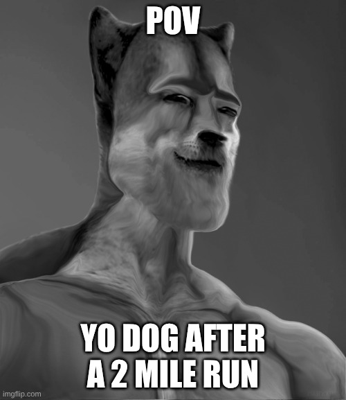 GigaDoge | pov; yo dog after a 2 mile run | image tagged in gigadoge | made w/ Imgflip meme maker