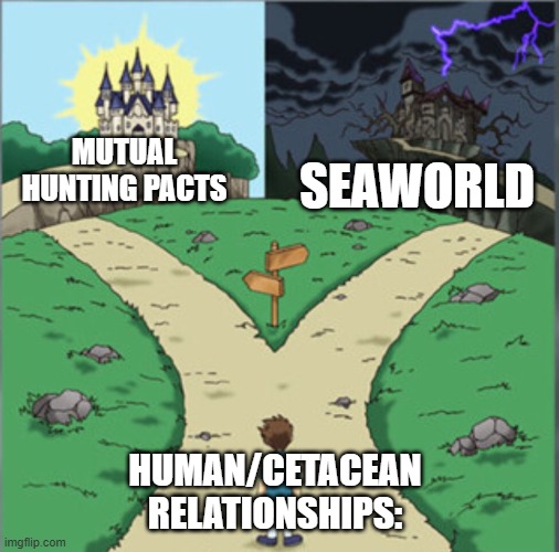 Orcas/Dolphins | Mutual hunting pacts; Seaworld; Human/Cetacean relationships: | image tagged in yu-gi-oh dramatic crossroads | made w/ Imgflip meme maker