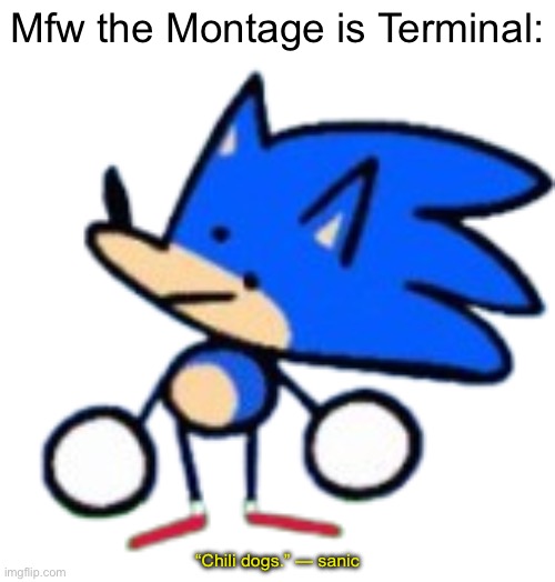 chili dogs | Mfw the Montage is Terminal:; “Chili dogs.” — sanic | image tagged in chili dogs | made w/ Imgflip meme maker