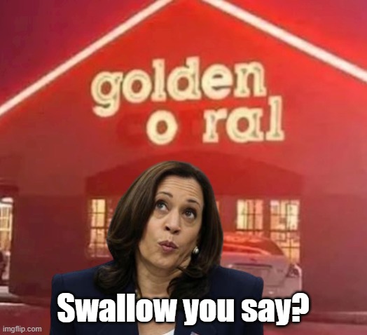 Swallow you say? | made w/ Imgflip meme maker