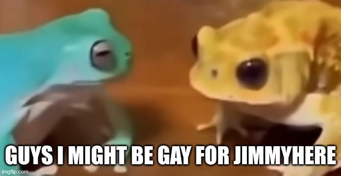 the fuck did you just say | guys I might be gay for jimmyhere | image tagged in the fuck did you just say | made w/ Imgflip meme maker