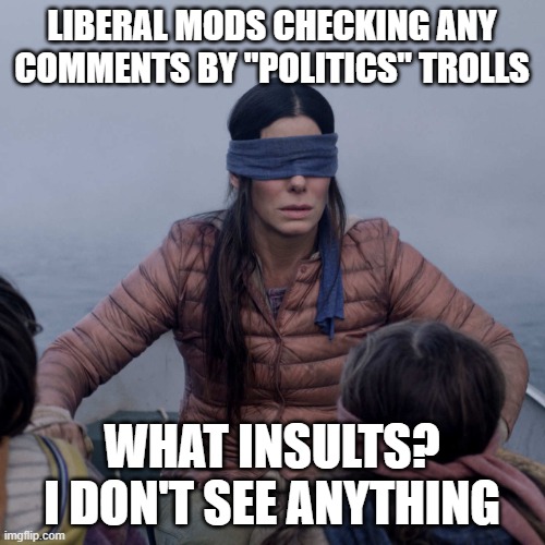 Bird Box Meme | liberal mods checking any comments by "Politics" trolls what insults? I don't see anything | image tagged in memes,bird box | made w/ Imgflip meme maker