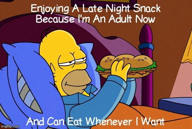 One Of The Prox Of Adulthood | image tagged in memes,the simpsons,homer simpson,adult humor | made w/ Imgflip meme maker