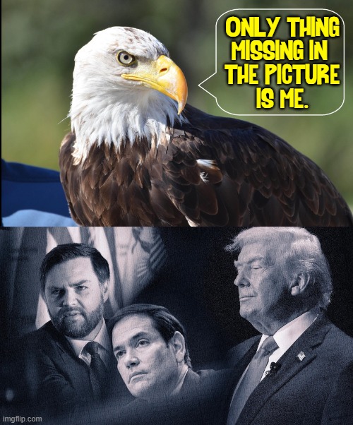 When God Combines Patriotism with Integrity | Only thing
Missing in 
the picture
is me. | image tagged in vince vance,president trump,bald eagle,marco rubio,jd vance,memes | made w/ Imgflip meme maker