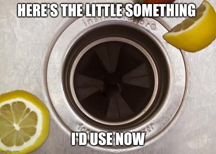 Want Your Garbage Disposal to Work Better? | Here's the little something I'd use now | image tagged in want your garbage disposal to work better | made w/ Imgflip meme maker