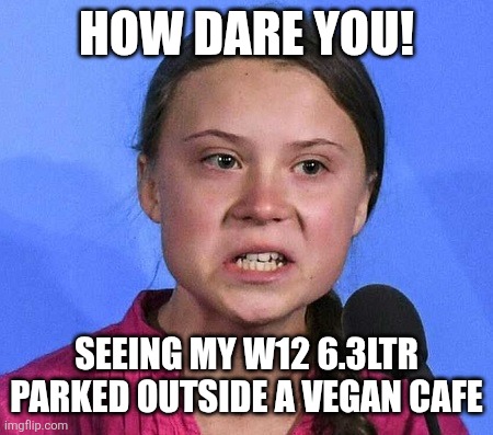 W12 6.3ltr | How dare you! Seeing my W12 6.3ltr parked outside a vegan cafe | image tagged in greta thunberg angry | made w/ Imgflip meme maker