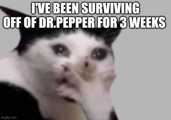 oh God... | I've been surviving off of dr.pepper for 3 weeks | image tagged in screenshot 2026-04-20 9 21 00 am png | made w/ Imgflip meme maker