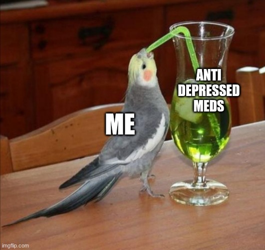 Bird drinking green juice | anti depressed meds; me | image tagged in bird drinking green juice | made w/ Imgflip meme maker