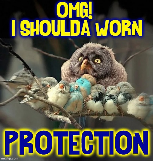 Stop the train! I wanna go back to childhood | OMG! 
I shoulda worn Protection | image tagged in vince vance,birds,regrets,protection,buyer's remorse,funny animal meme | made w/ Imgflip meme maker