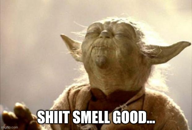 yoda smell | shiit smell good... | image tagged in yoda smell | made w/ Imgflip meme maker
