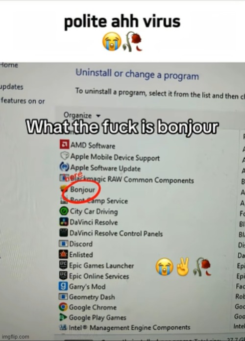 gentleman of a virus | image tagged in france | made w/ Imgflip meme maker