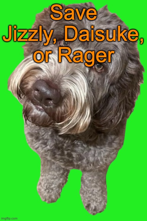 Northers Dog (Transparent) | Save Jizzly, Daisuke, or Rager | image tagged in northers dog transparent,voting game s19 | made w/ Imgflip meme maker