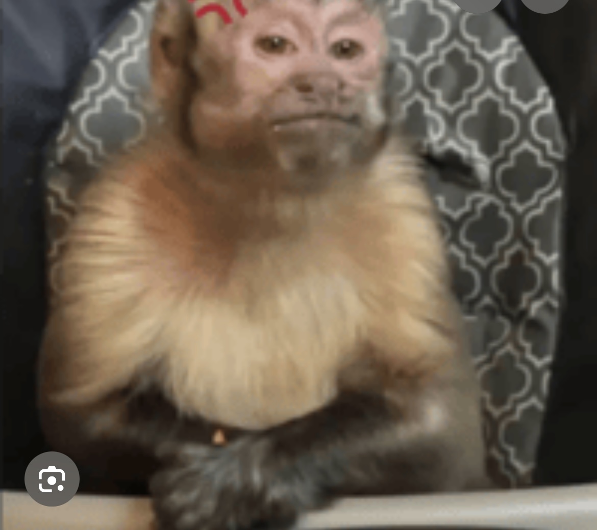 Mama Blank Meme Template