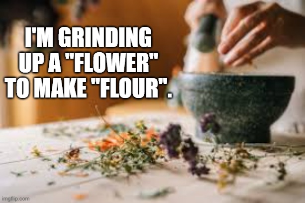 I'm grinding a "flower" to make "flour". | I'm grinding up a "flower" to make "flour". | image tagged in funny,humor,play on words,words,cooking | made w/ Imgflip meme maker